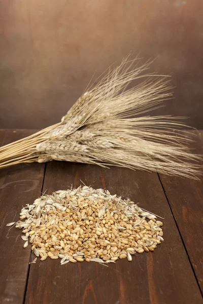 Wheat, plant and seeds — Stock Photo, Image
