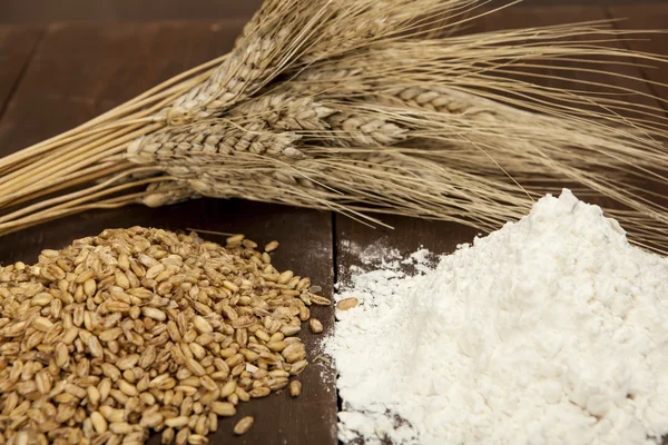 Wheat, plant seeds and flour — Stock Photo, Image
