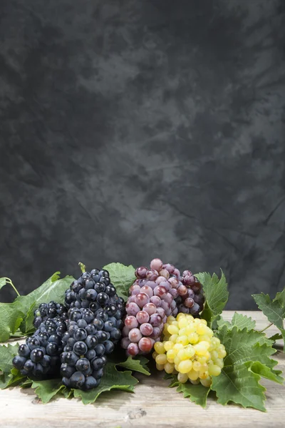 Bunch of white and red grape — Stock Photo, Image