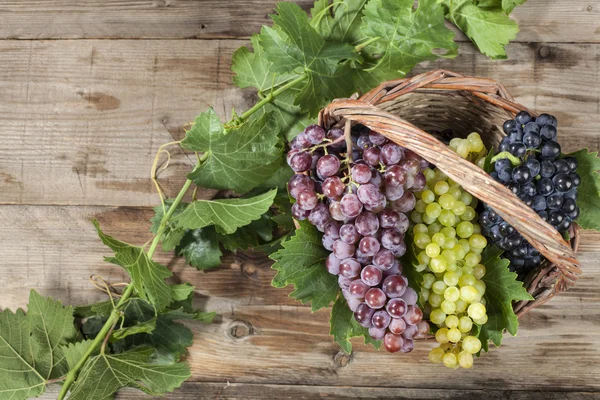Bunch of red and white grape in a basket — Stock Photo, Image