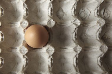 mutfak tezgahına yumurta