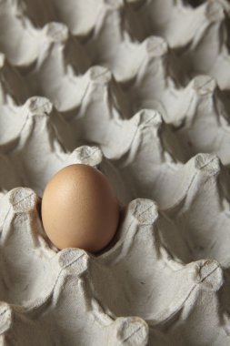 mutfak tezgahına yumurta