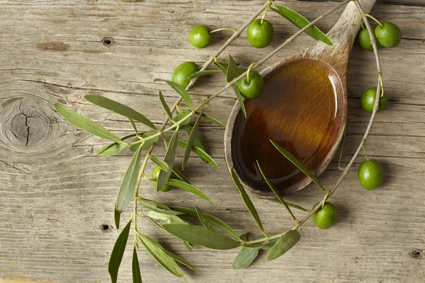 Оливкова гілка і ложка, повна олії — стокове фото