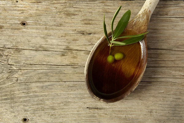 Ramo de azeitona e uma colher cheia de óleo — Fotografia de Stock