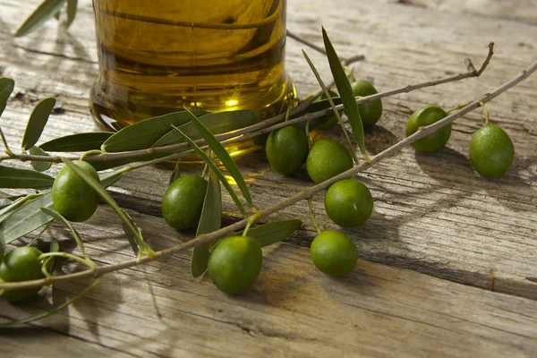Ramo d'ulivo e olio d'oliva — Foto Stock