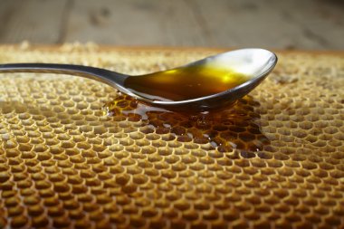kaşık bal peteği üzerinde tam