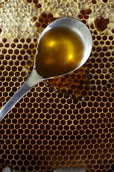 Spoon full of honey on honeycomb — Stock Photo, Image