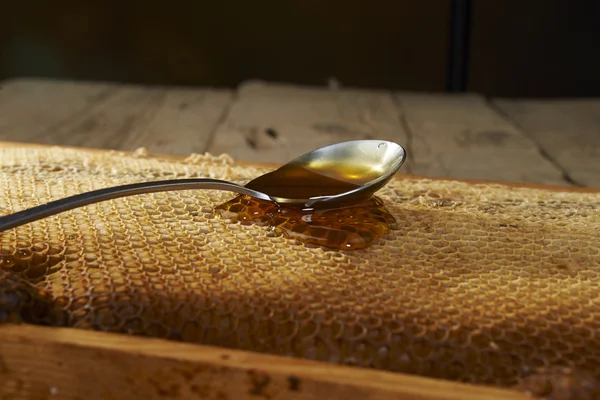 Spoon full of honey on honeycomb — Stockfoto