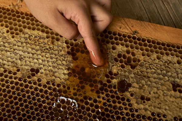 Unga hand tar honung från en honeycomb — Stockfoto