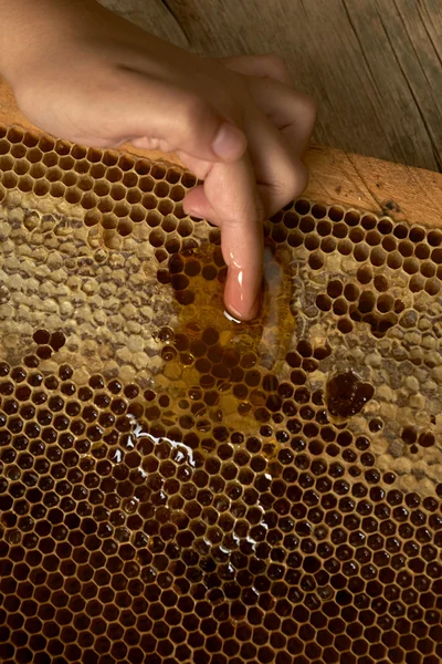 Unga hand tar honung från en honeycomb — Stockfoto