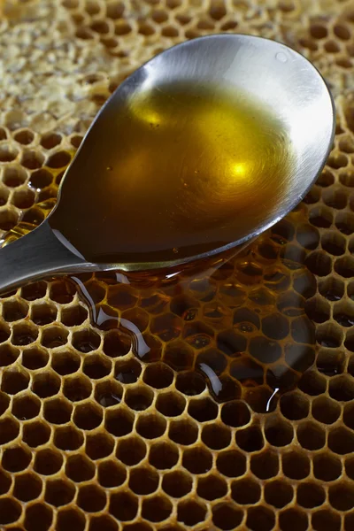 Spoon full of honey on honeycomb — Stock Photo, Image