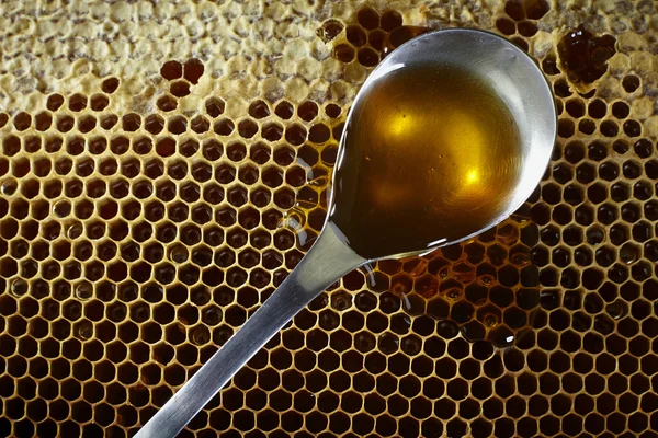 Spoon full of honey on honeycomb — Stock Photo, Image