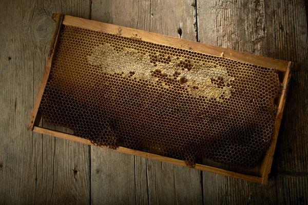 Honeycomb on frame with fresh honey — Stock Photo, Image