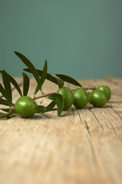 Ramo d'ulivo verde sul tavolo di legno . — Foto Stock