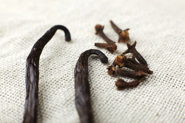 Spice cloves and vanilla. — Stock Photo, Image