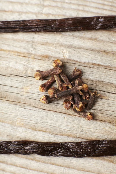 Spice cloves and vanilla. — Stock Photo, Image