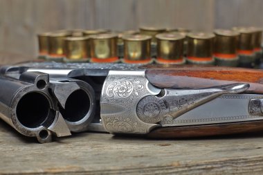 Vintage av silahı kabukları ile