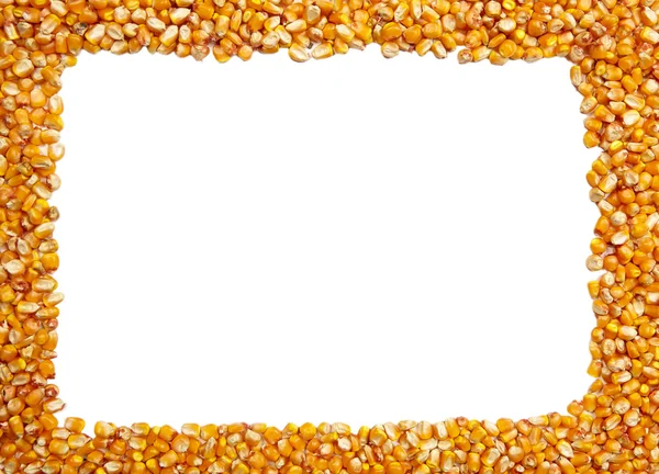 Frame made of corn seeds with white background — Stock Photo, Image