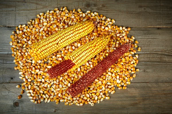 Grains of ripe dry corn close up — Stock Photo, Image