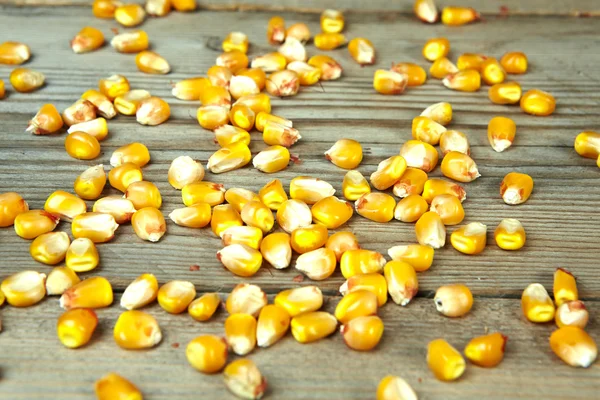Granos de maíz seco contra sobre una mesa de madera —  Fotos de Stock