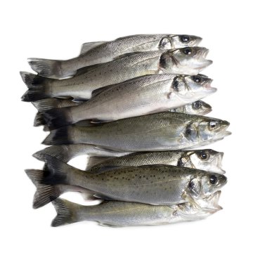 taze balık, deniz levreği