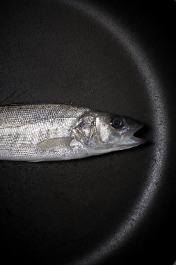 taze balık, deniz levreği