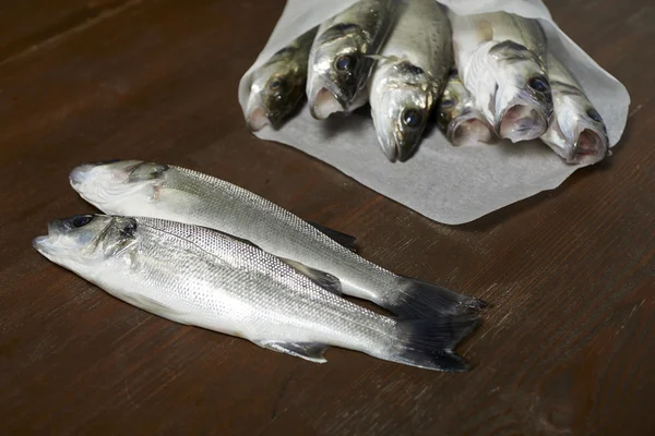 Frischer Fisch, Wolfsbarsch — Stockfoto