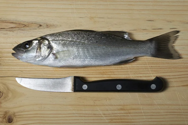 Fresh fish, sea bass — Stock Photo, Image