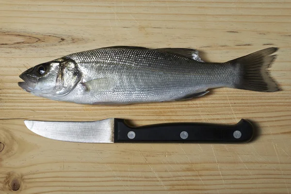 Pescado fresco, lubina — Foto de Stock