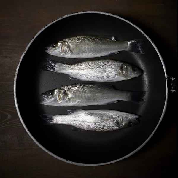 Pesce fresco, spigola — Foto Stock