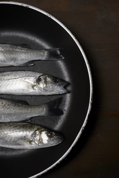 Frischer Fisch, Wolfsbarsch — Stockfoto