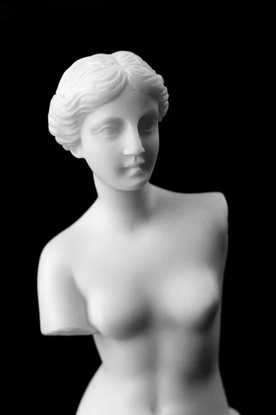La Venus de Milo es una estatua de mármol de la época helenística . —  Fotos de Stock