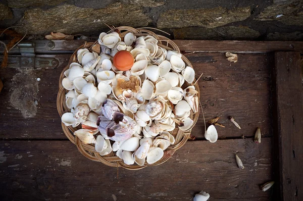 Many shells in a basket on wooden table — Stock Photo, Image