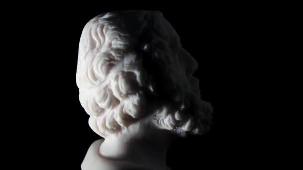 White marble of Homer — Stock Video