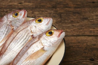 taze balık, red snapper