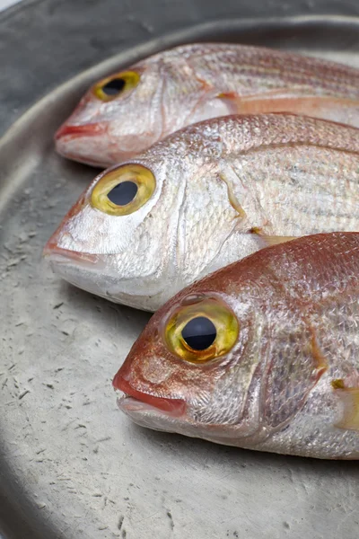 Frischer Fisch, roter Schnapper — Stockfoto