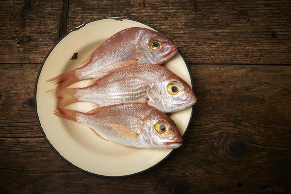 Frischer Fisch, roter Schnapper — Stockfoto