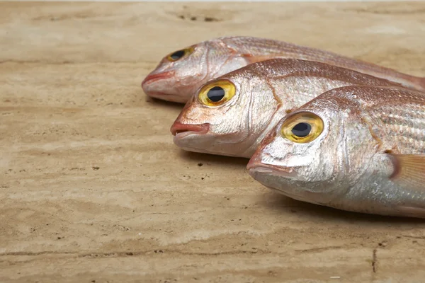 Frischer Fisch, roter Schnapper — Stockfoto