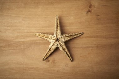Deniz yıldızı ahşap tablo