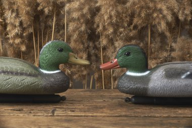 duck decoys and whistles  clipart