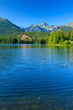 View of the Strbske Pleso and mountains.