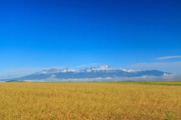 Tatrabergen på avstånd. — Stockfoto