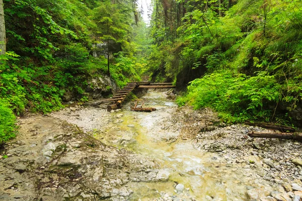 Route Sucha Bela dans le Raj slovène . Images De Stock Libres De Droits