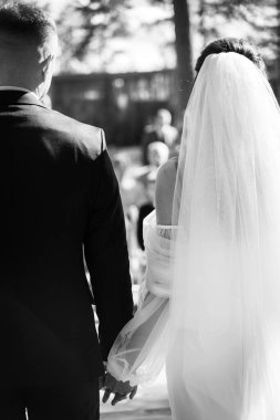 Güzel bir çift el ele tutuşuyor.