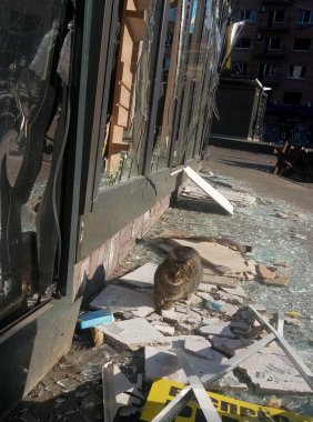 Rus ordusunun Artem fabrikası ve Ukrayna 'nın Kyiv kentindeki Lukyanovka metro istasyonu yakınlarındaki Lukyanovka pazarına roket atarları sonucu, Mart 2022