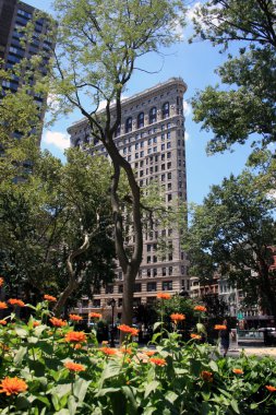 New York Şehri