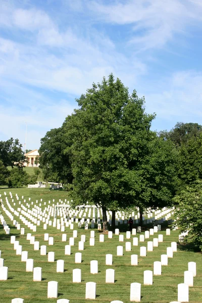 Arlington. — Foto de Stock