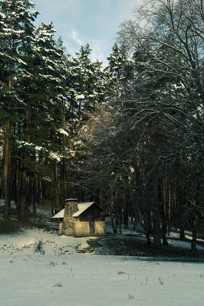 Holzhütte Inmitten Eines Verschneiten Waldes Zuflucht Nationalpark Sierra Guadarrama Espinar — Stockfoto