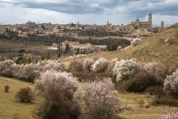 Segovia Tája Mandulafákkal Virágjában Tavasz Kezdete Spanyolországban — Stock Fotó