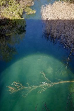 Fırtınadan sonra bir nehrin sularındaki devrilmiş ağaç manzarası. Köprüden ışıklar ve gölgeler